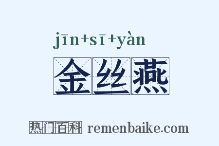 金丝燕是什么意思的图片